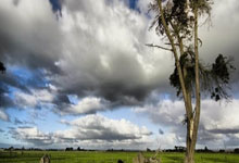 葡萄牙vs丹麦首发阵容会有哪些看点?